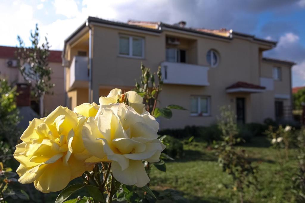 Apartments Emma Biograd Na Moru Exterior photo